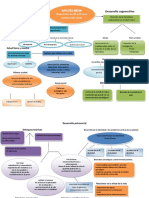 Mapa Conceptual Adultez Media