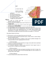 Anatomy of The Breast