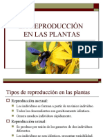 12 Reproduccion Plantas