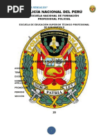 Funciones y Significado de la SUAT PNP | PDF | Policía | Seguridad nacional