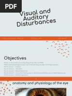 Visual and Auditory Disturbances