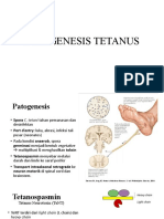 Patogenesis Tetanus