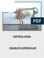 OSTEOL. M ant y M post  uan 16-08-2022