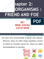 Class VIII Science Chapter 2 Microorganisms Friend and Foe