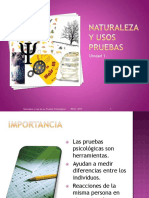 Naturalezay Usos Pruebas