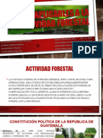 Leyes Aplicables A La Actividad Forestal, Guatemala