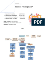 Informe 08 Fisio Sem