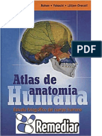 Atlas de Anatomia Humana de Yokochi 6a Edicion