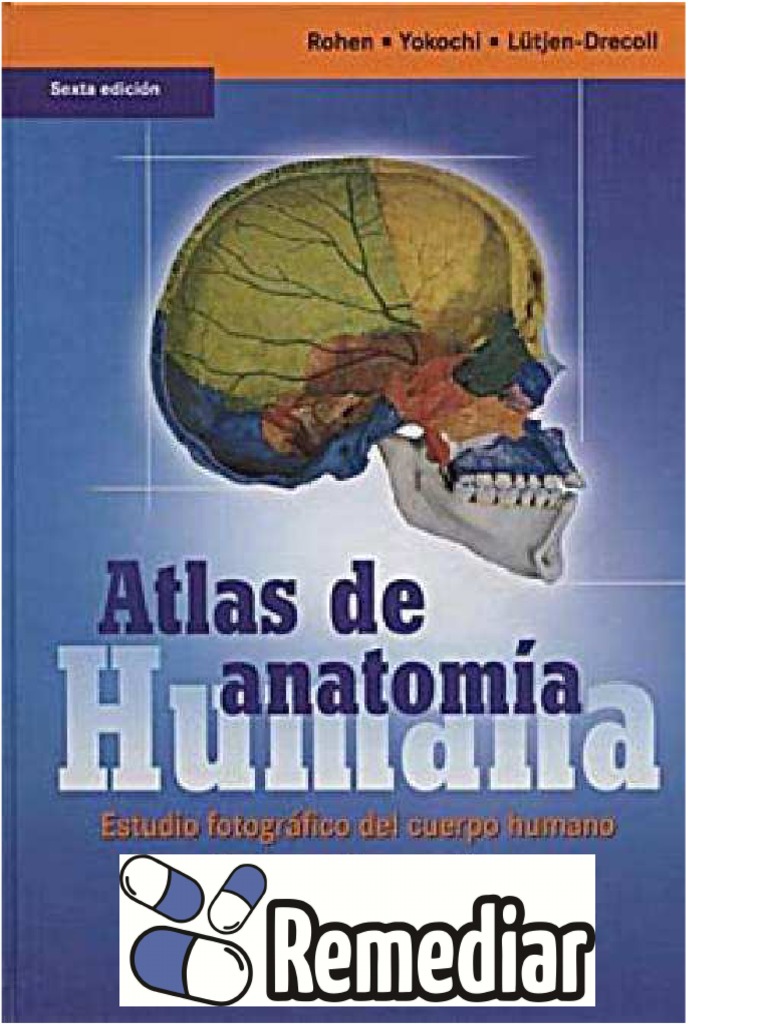 Atlas de Anatomia Humana de Yokochi 6a Edicion | PDF