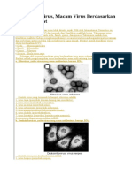 Klasifikasi Virus RNA dan DNA