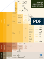 Clave Invertebrados