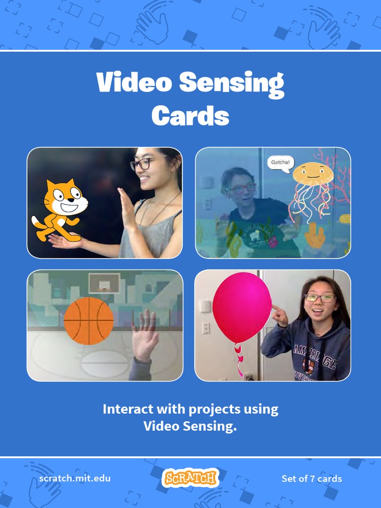 Video Sensing Cards PDF Cats
