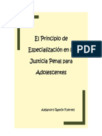 El Principio de  Especializacion en la Justicia Penal para Adolescentes_Descargar