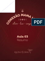 Conexão Mama Luna - Aula 03 Resumo