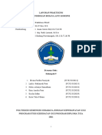 Laporan Praktikum Pbak 2021