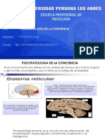 Semana 01 Psicopatologia de La Conciencia