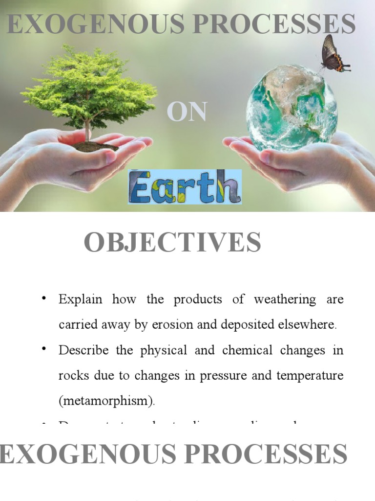 Exogenous Vs Endogenous Understanding The Crucial Difference - 2uol7d3