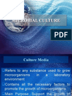 MICROBIAL-CULTURE-1