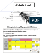 2 Abeille v2