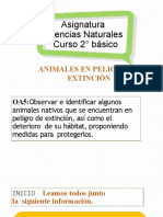 Animales en Peligro de Extinción