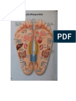 Anatomy of The Foot