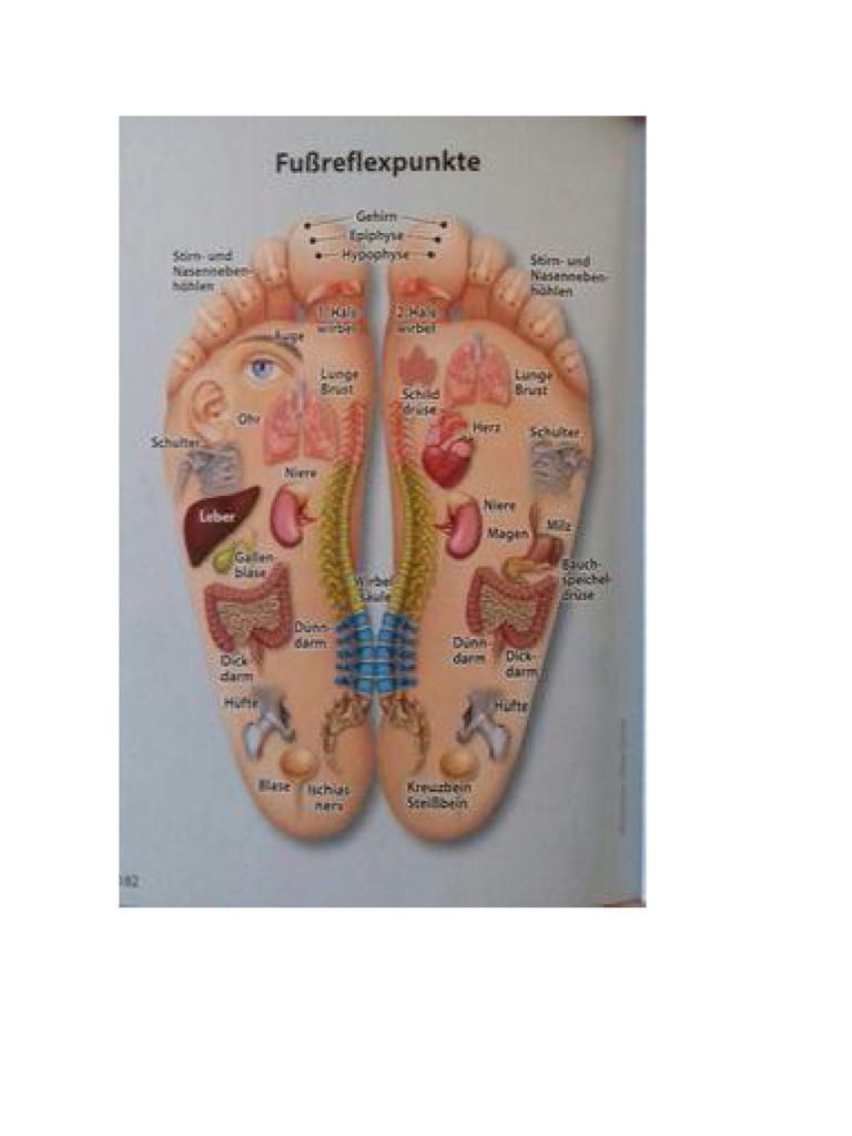 UNDERSTANDING FOOT ANATOMY A GUIDE TO YOUR FEET visual data 3