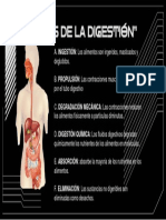 Infografía CyT - Etapas de La Digestión - Jordy Jesús Zavala Gutierrez