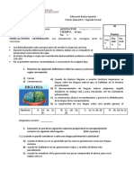 Borrador de Examen 1ero Bach DIFERENCIADO 2