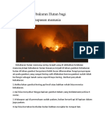 Dampak Kebakaran Hutan Bagi Pernapasan Manusia