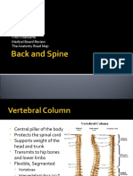 Vertebral Column Anatomy