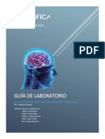 Guia de Practica Morfofisiologia Del Sistema Nervioso UCSUR