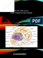 Cell and Its Function