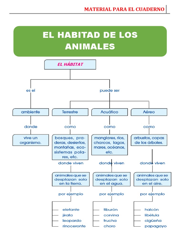 Hábitats de Animales para Niños | PDF