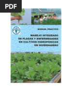 Disipador Para Producir Lechuga Hidropnica Antiguamente Todo Esto