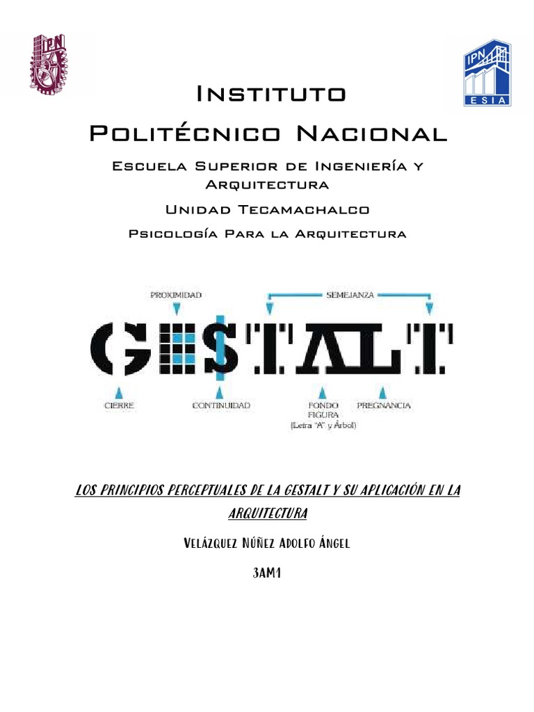 Principios Perceptuales | PDF | Percepción | Evaluación neuropsicológica