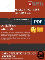 Tipos de archivos y sus atributos