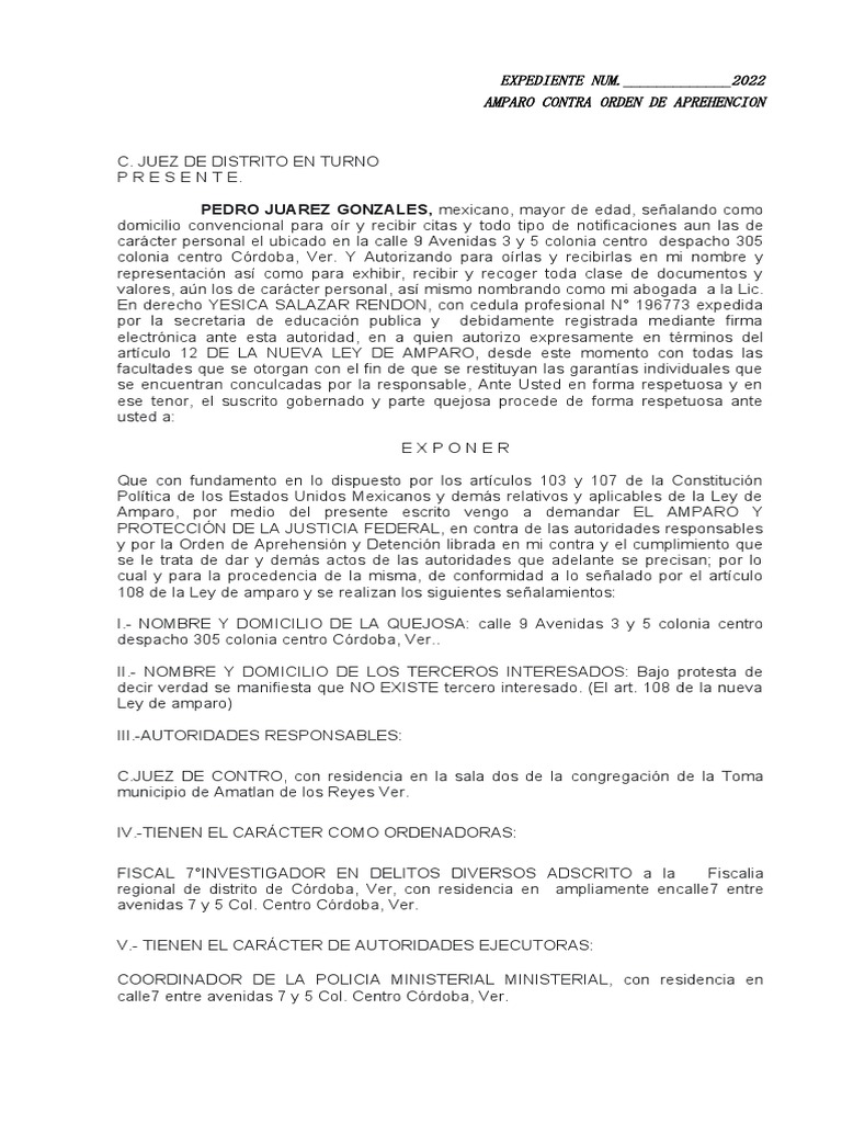 Amparo Contra Orden de Aprehencion | PDF | Violación | Derecho ...