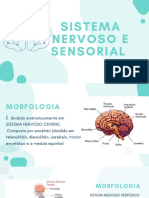 Slides Biologia