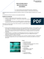 Endodoncia - Medicación intraconducto y cura intermedia