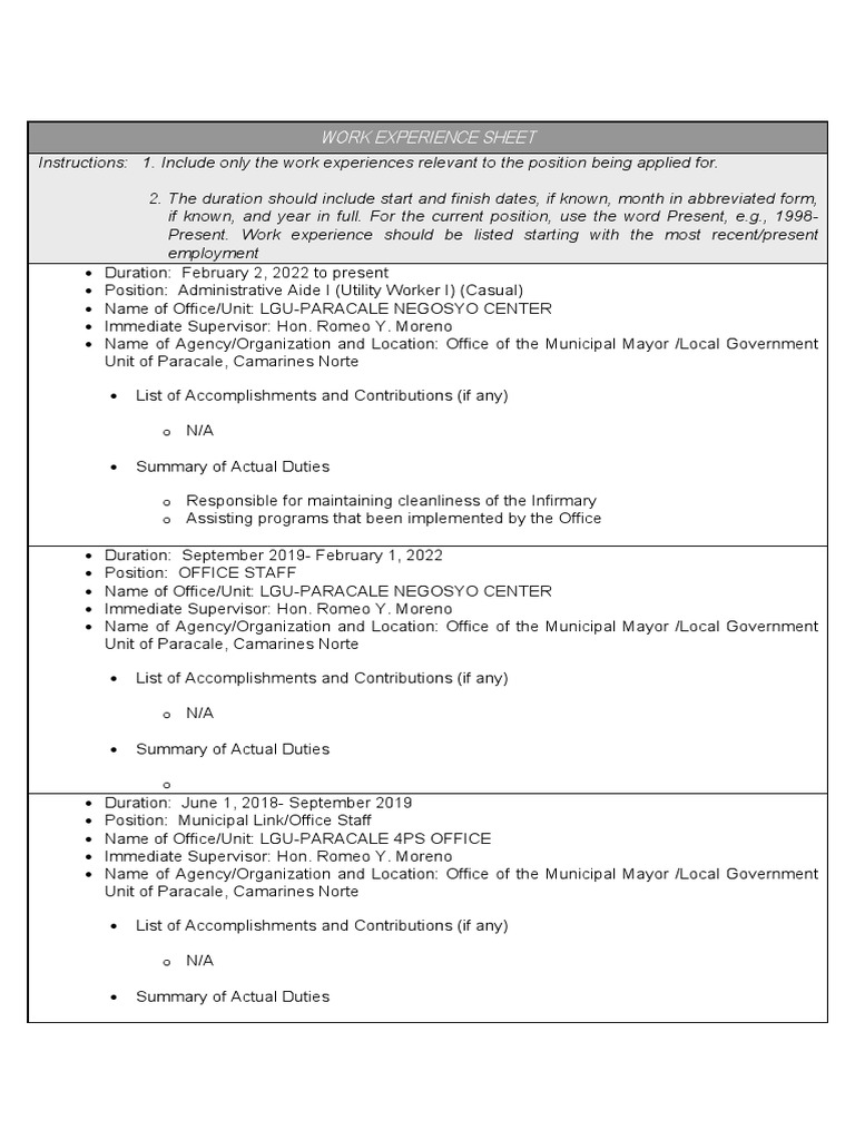 Ludy B. Abrera Work Experience Sheet | PDF | Business