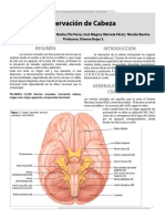 Apunte Nervios Craneales