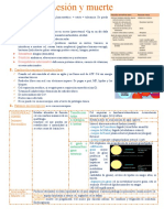 PATOLOGIA 2 Lesion y Muerte Cel