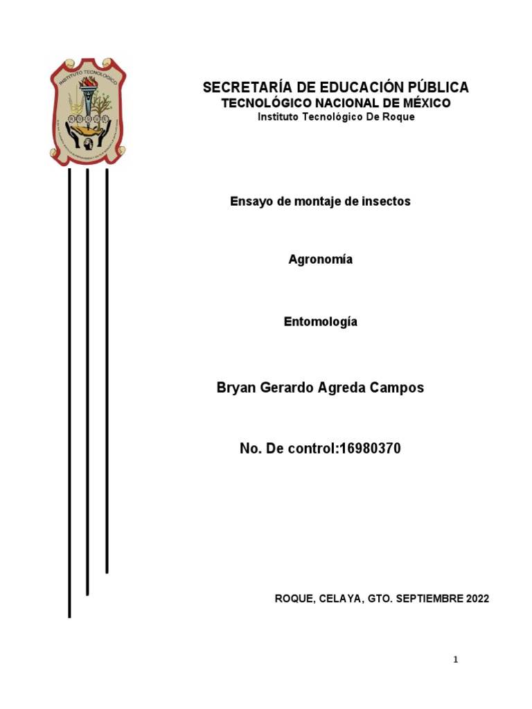 Montaje de Insectos: Métodos y Técnicas | PDF | Insectos