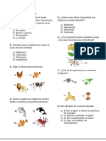 4°? Diagnóstico Examen Ciclo Escolar 2023?