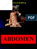 Abdomen