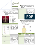 W1 - MEDSURG Introduction On Neurologic Disorders