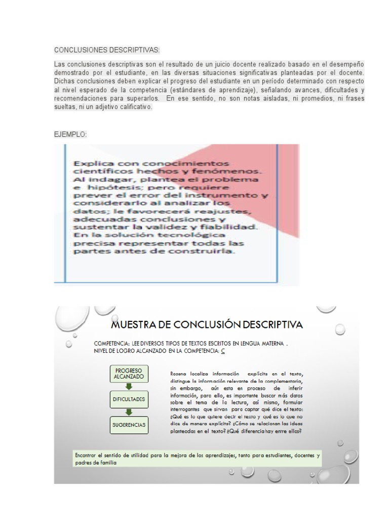 Conclusiones Descriptivas | PDF