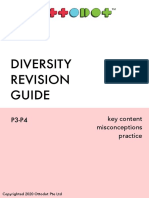 Diversity Revision Guide