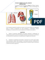 CP2 - Histología y Embriología Del Aparato Respiratorio