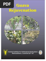 Download Guava Rejuvenation English by Bilal Arshad SN59338135 doc pdf